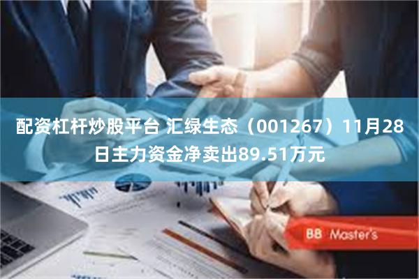 配资杠杆炒股平台 汇绿生态（001267）11月28日主力资金净卖出89.51万元