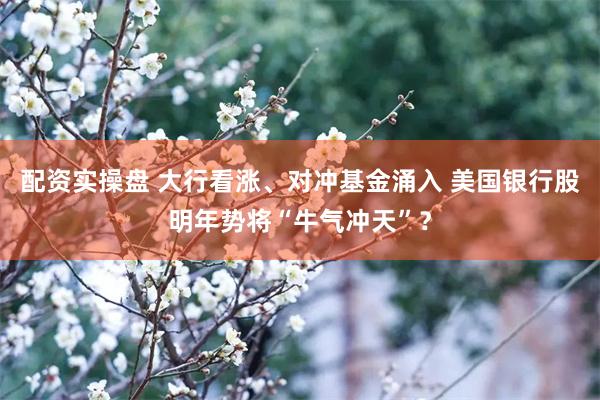 配资实操盘 大行看涨、对冲基金涌入 美国银行股明年势将“牛气冲天”？