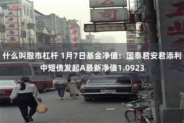 什么叫股市杠杆 1月7日基金净值：国泰君安君添利中短债发起A最新净值1.0923