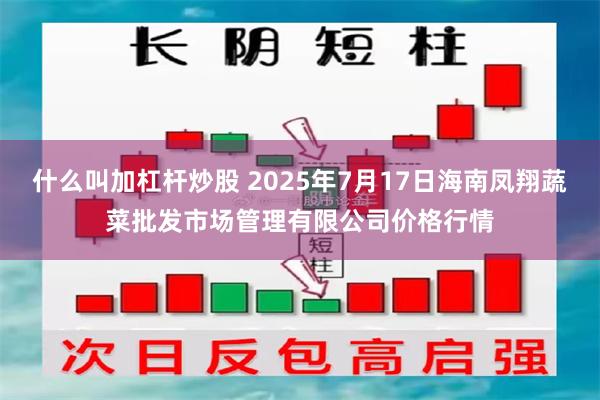 什么叫加杠杆炒股 2025年7月17日海南凤翔蔬菜批发市场管理有限公司价格行情