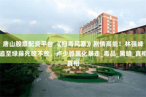 唐山股票配资平台 《扫毒风暴》剧情高能！林强峰追至绿藤死咬不放，卢少骅黑化暴走_毒品_黑暗_真相