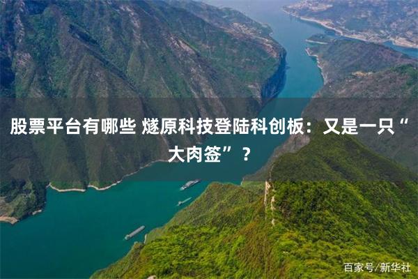 股票平台有哪些 燧原科技登陆科创板：又是一只“大肉签” ？